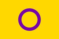 Intersex Pride Flag van Bear Necessities thumbnail