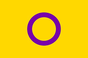Intersex Pride Flag van Bear Necessities
