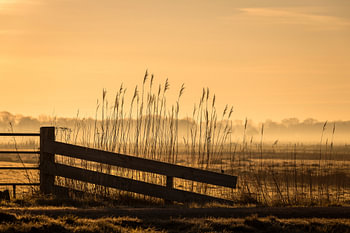 Gouden ochtend in het polderlandschap