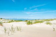 Duinen van Vlieland. van Ron van der Stappen thumbnail