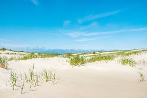 Dunes de Vlieland. sur Ron van der Stappen