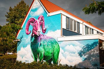 Murales Sluiswijk Ville hanséatique de Deventer. sur N-Joy Pictures