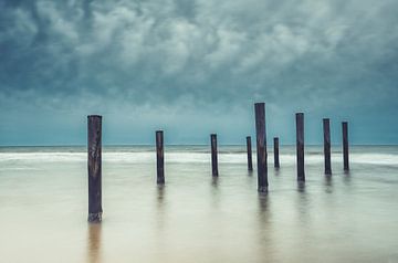 Palm village with "sheep clouds" by peterheinspictures