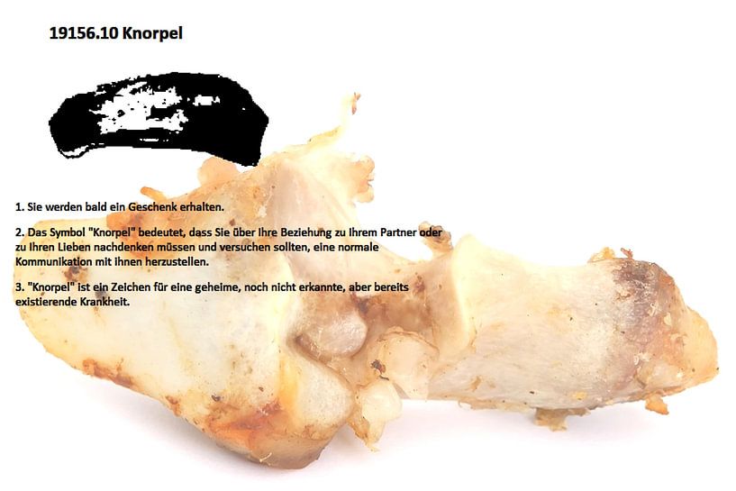 Kraakbeen 19156.10 van Vladimir Zykunov