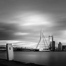Erasmusbrug (vierkant) van Prachtig Rotterdam thumbnail