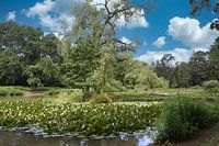 Unser Hainweiher in Bamberg