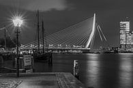 Erasmus Bridge SW by Nuance Beeld thumbnail