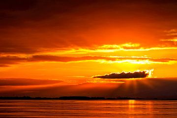 Sonnenuntergang am Dollart | Ostfriesland | Himmel | rot | Wolken von Dieter Ludorf