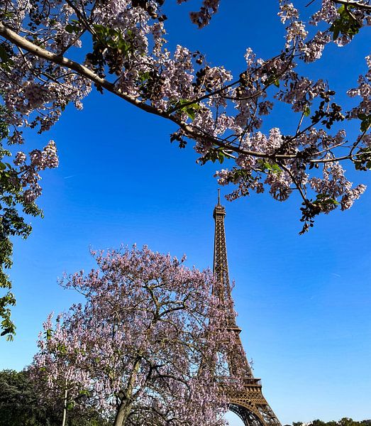 Eiffel Tower 3D by Truckpowerr