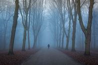 Alone in de mist van Thijs Friederich thumbnail