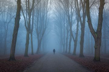 Alone in de mist