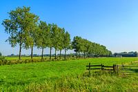Prachtig Nederlandslandschap
