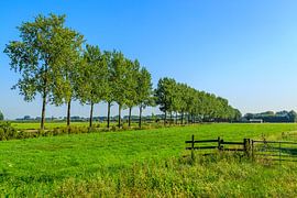 Prachtig Nederlandslandschap