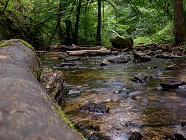 water in the mountains france by Delphine Kesteloot