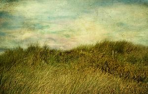 Der Wind und das Meer sur Claudia Moeckel