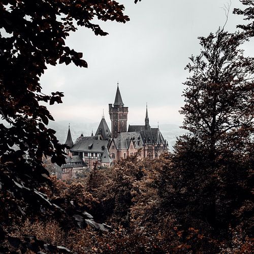 Wernigerode Castle 010