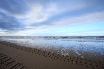 Strand von Hans Raijmaekers - Acclararefoto