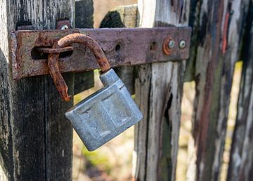 Vieux cadenas rouillé sur la porte Photographie d'art sur Animaflora PicsStock