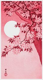 Blühende Kirschblüten im Mondlicht in Rosa-Rot (Ohara Koson)