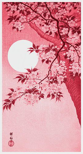 Blühende Kirschblüten im Mondlicht in Rosa-Rot (Ohara Koson)