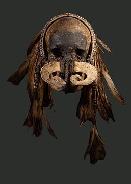 Asmat schedel Papua van littletreasureshouse
