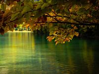 Alpsee im Herbst