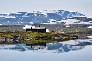 Réflexion sur le Hardangervidda sur Jarne Buttiens