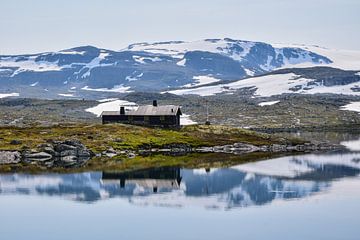 Reflection on the Hardangervidda by Jarne Buttiens