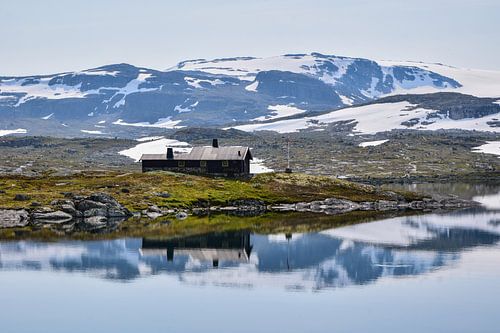 Reflection on the Hardangervidda