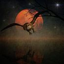 Le hibou va chasser dans la nuit par Jan Keteleer Aperçu