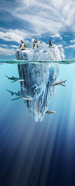 ijsberg by Dray van Beeck