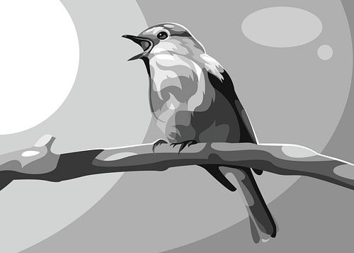 Landschap Mooie Vogel Popart Grijswaarden