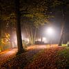 Street light autumn by Tvurk Photography