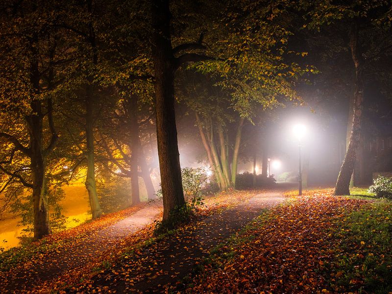 Straßenlaterne Herbst von Tvurk Photography
