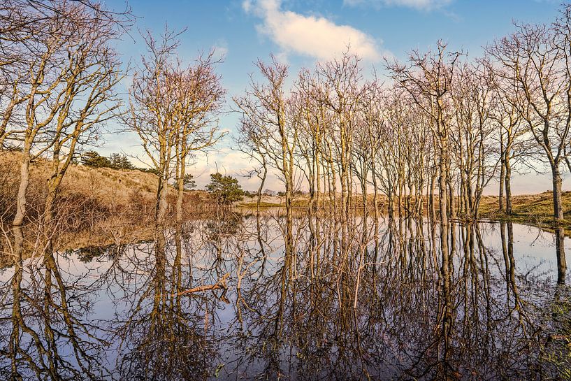 Die Küste von Helders mit den Dünen von Helders bei Flut von eric van der eijk