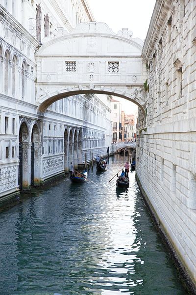 Venice by Hello Pompoyo
