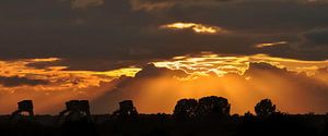 Als Silhouetten-Wehranlage bei Amerongen.