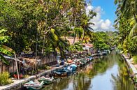 Kanal mit Booten und Palmen in Negombo Sri Lanka von Dieter Walther Miniaturansicht