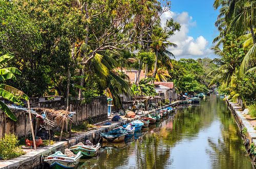 Kanaal met boten en palmbomen in Negombo Sri Lanka