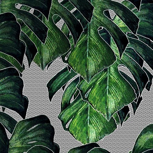 GATENPLANT monstera deliciosa