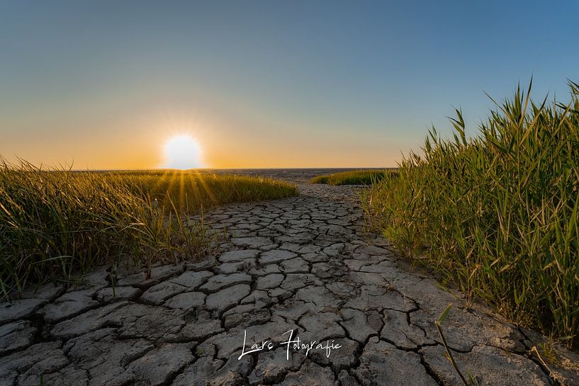 The Friesian wadden coast by lars Bosch