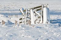 Schneezaun in Polderlandschaft