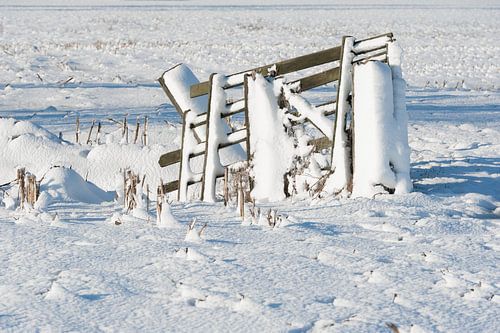 Besneeuwd hekwerk in polderlandschap Alblasserwaard
