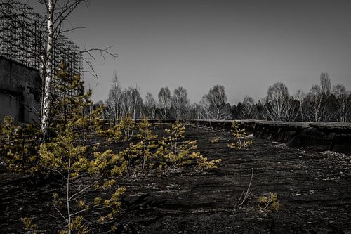 Die Pixel-Ecke - Das grüne Dach