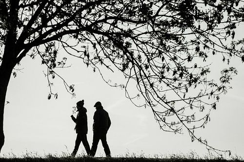 Gemeinsam unter dem Baum