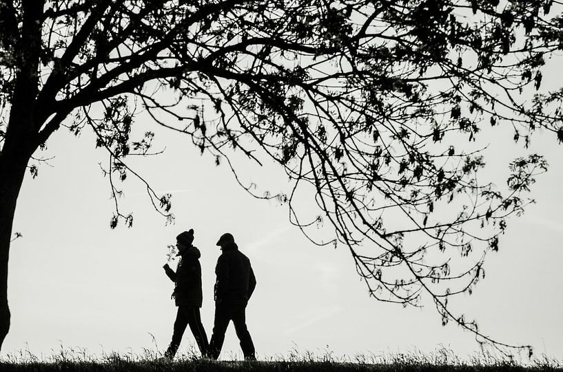 Samen onder de boom van Lucia Kerstens