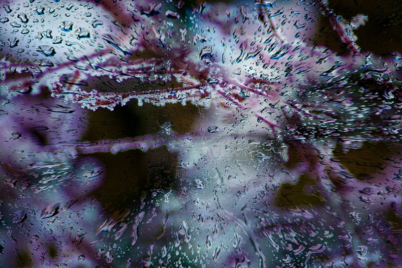 Concept frozen : Frozen leaves van Photoart-Naegele