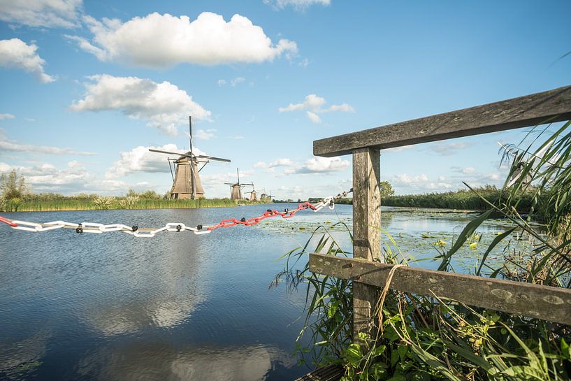 Kinderdijk in holland van Marcel Derweduwen