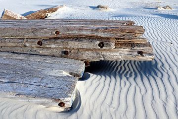 Driftwood on the beach of Terschelling - 1 by Mooi op Terschelling