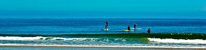 Stand-up-paddling / SUP [Breitwandfoto]